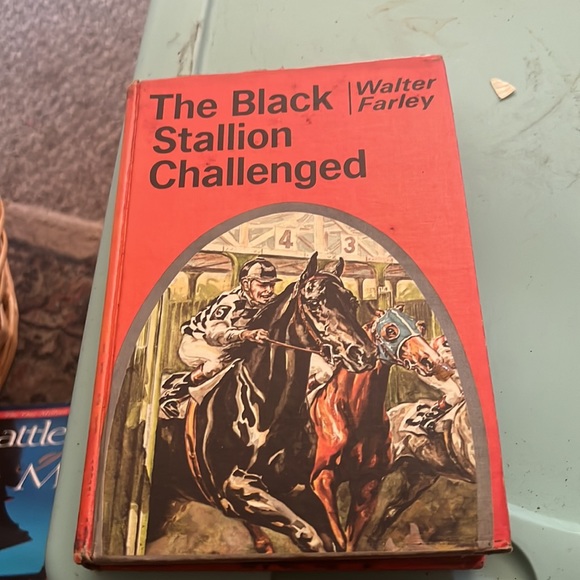 Books - Picture 4 of 7